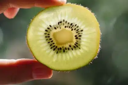 a piece of kiwi fruit on hand