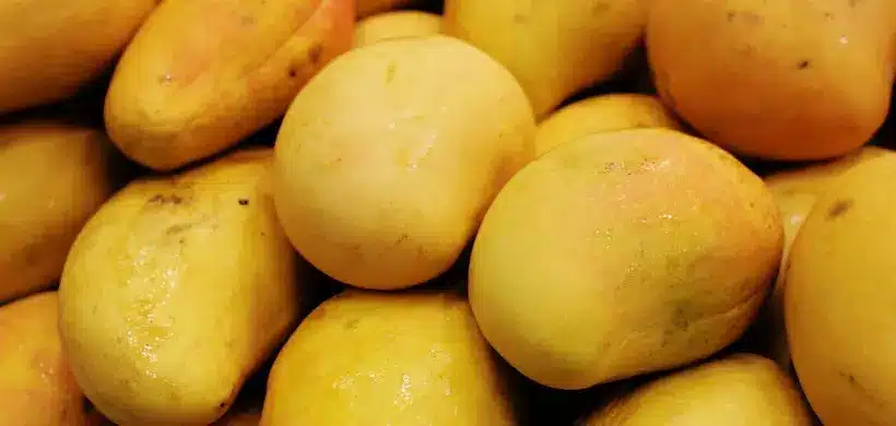 Chaunsa mango