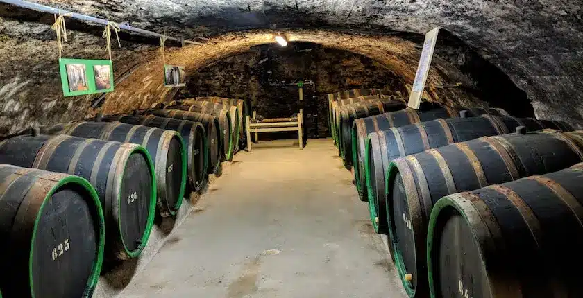 wine storage on wood barrels