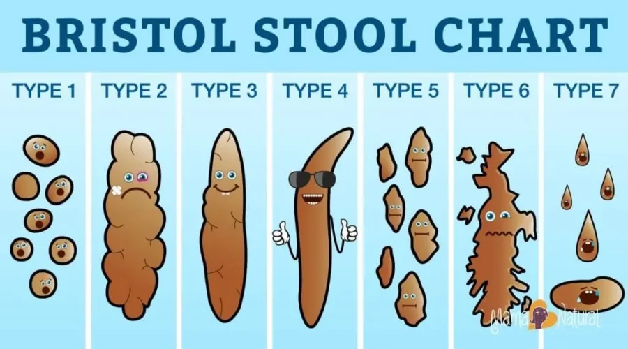 poop chart diagram