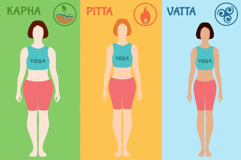 vata, pitta and kapha diagram