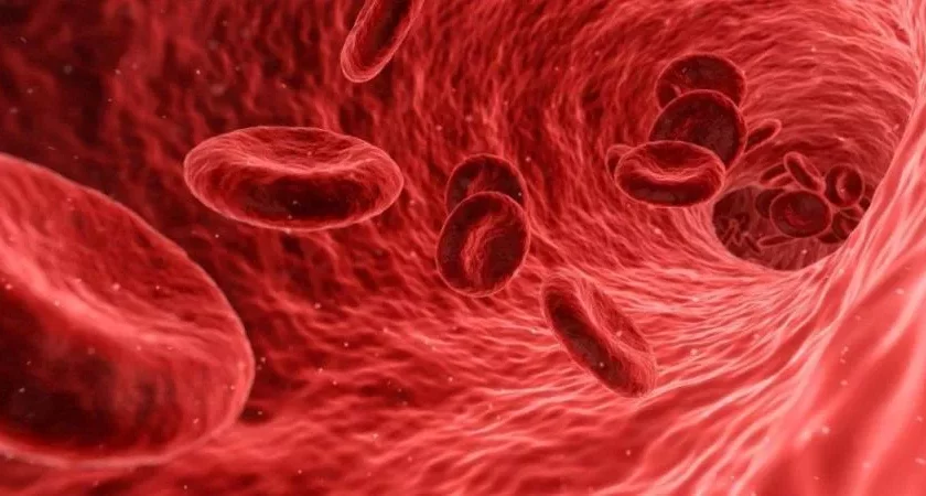 Red blood cells (high hemoglobin)