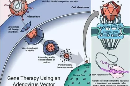 a diagram of gene therapy