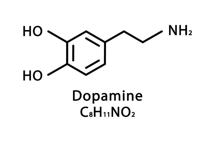 Dopamine molecular structure diagram
