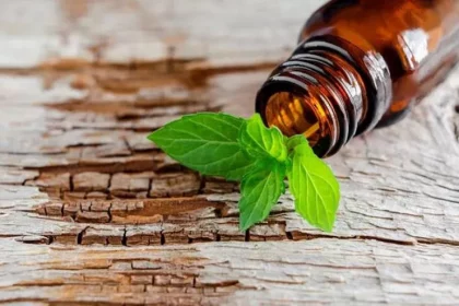 Peppermint oil and leaves