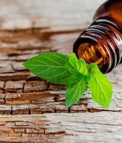 Peppermint oil and leaves