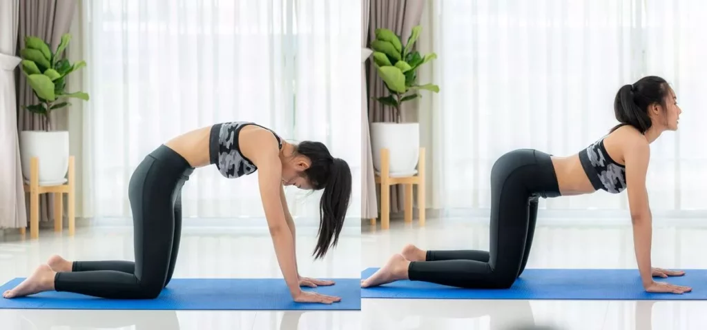 a woman doing cat-cow yoga asana